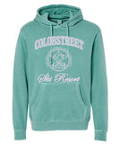 CS ski resort unisex pigment dyed hoodie