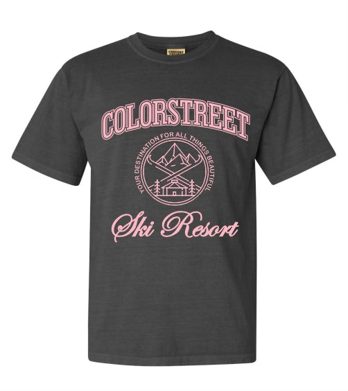 CS ski resort unisex garment dyed tee
