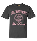 CS ski resort unisex garment dyed tee