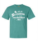 CS sleighing this biz unisex garment dyed tee