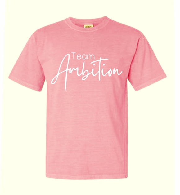 TEAM AMBITION unisex garment dyed tee (3 colors)