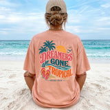 dreamers aruba unisex garment washed tee